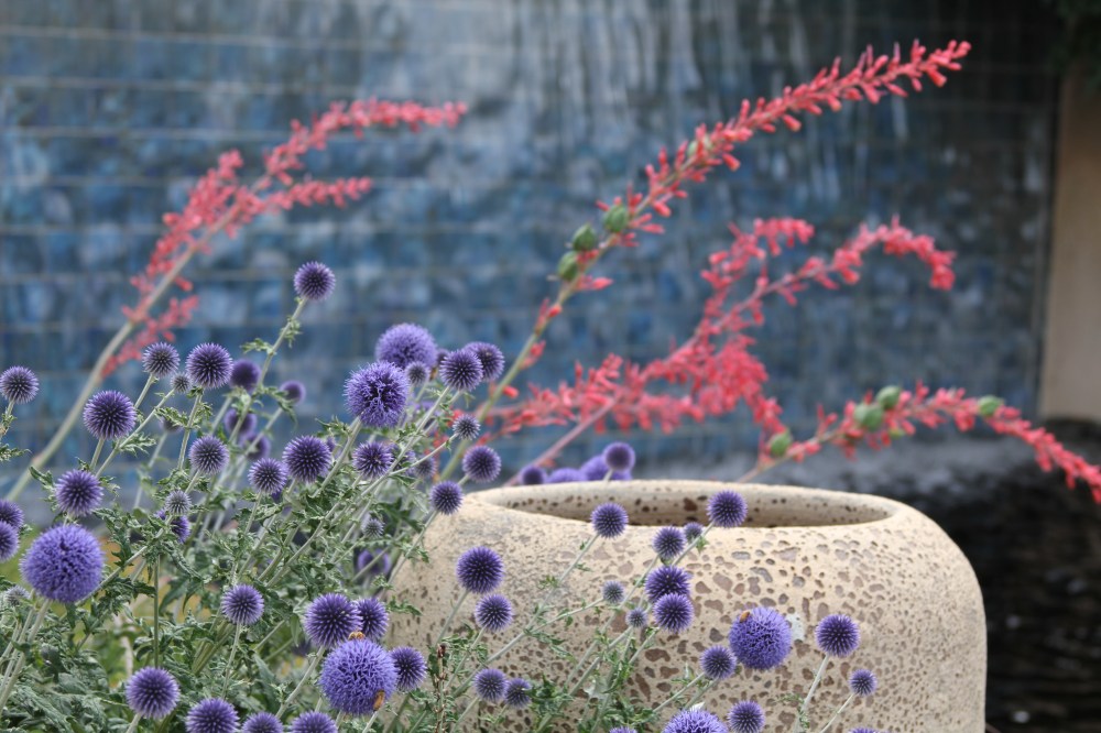 1D7024A2-0B37-40A0-968A-1CF3DE8F42DE